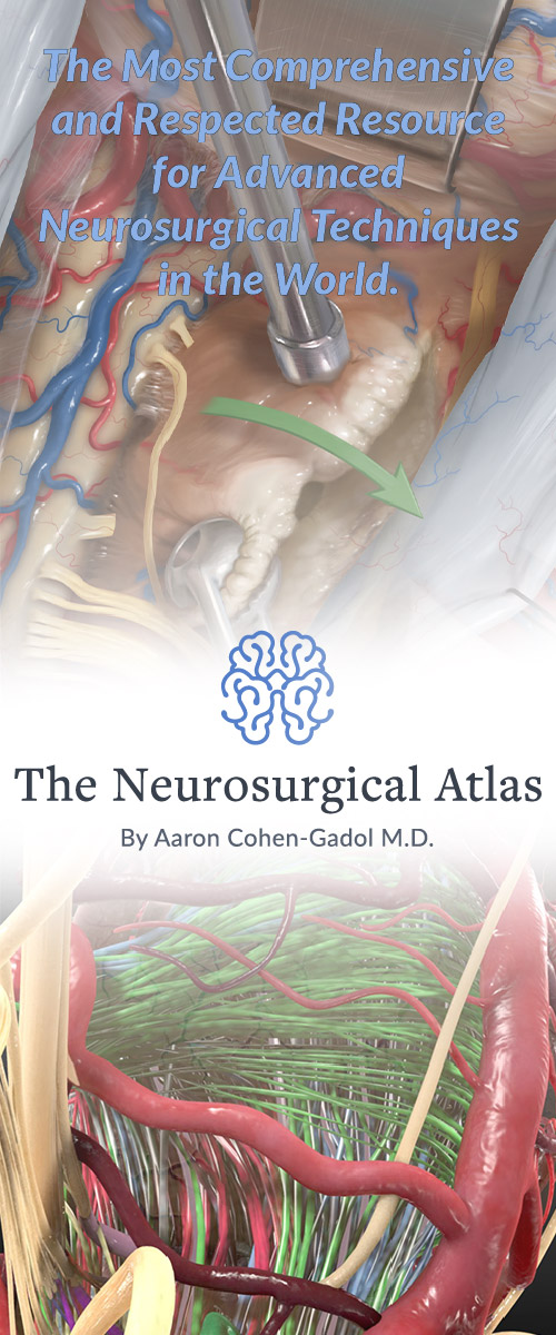 The Most Comprehensive and Respected Resource for Advanced Neurosurgical Techniques in the World.