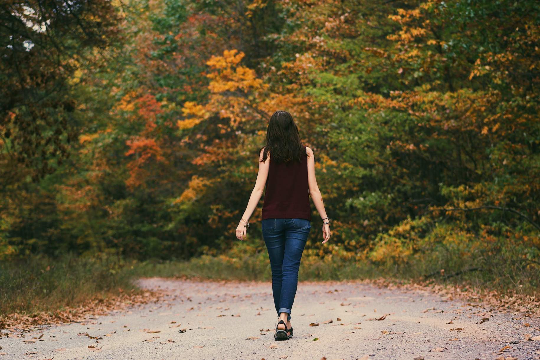 
                                    
                                        A woman walks on a paved path through autumnal forest. 
                                    
                                
